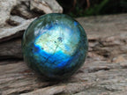 Polished Labradorite Spheres x 4 From Madagascar