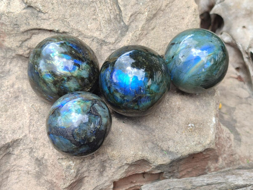 Polished Labradorite Spheres x 4 From Madagascar
