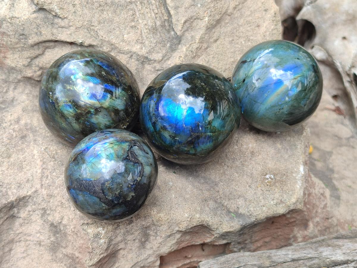 Polished Labradorite Spheres x 4 From Madagascar