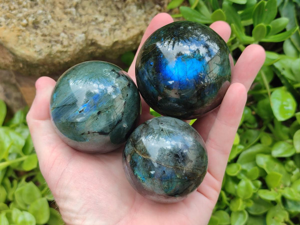 Polished Labradorite Spheres x 4 From Madagascar