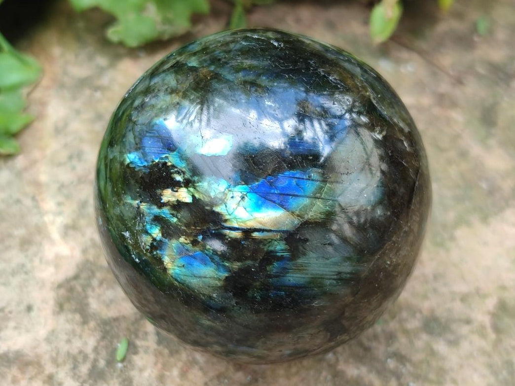 Polished Labradorite Spheres x 4 From Madagascar