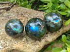Polished Labradorite Spheres x 4 From Madagascar