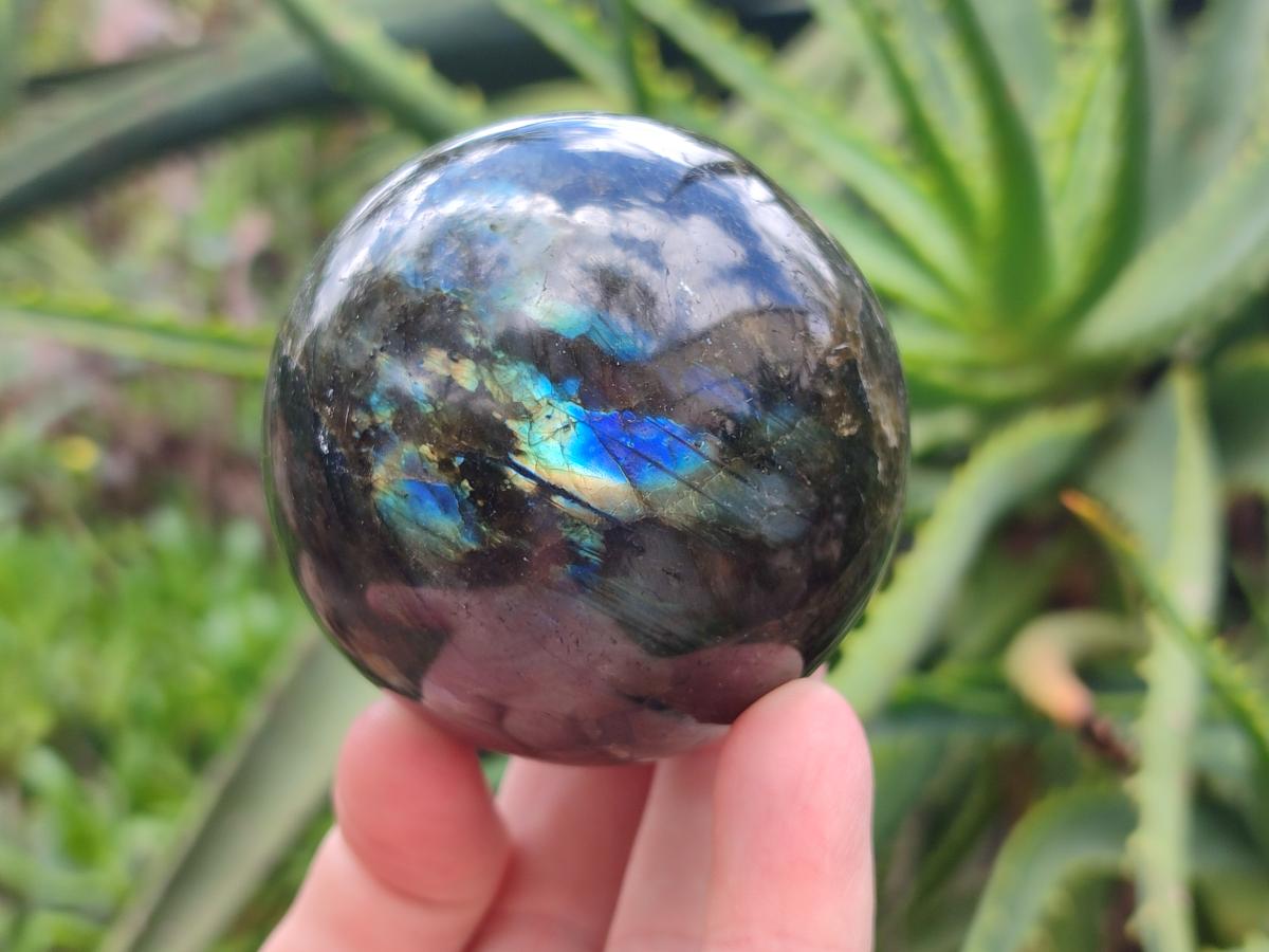 Polished Labradorite Spheres x 4 From Madagascar