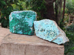 Natural Drusy Coated Chrysocolla with Malachite Specimens x 4 From Lupoto Mine, Congo
