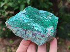 Natural Drusy Coated Chrysocolla with Malachite Specimens x 4 From Lupoto Mine, Congo