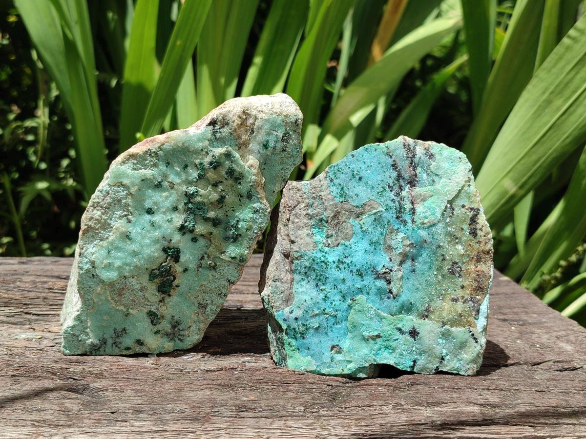 Natural Drusy Coated Chrysocolla with Malachite Specimens x 4 From Lupoto Mine, Congo