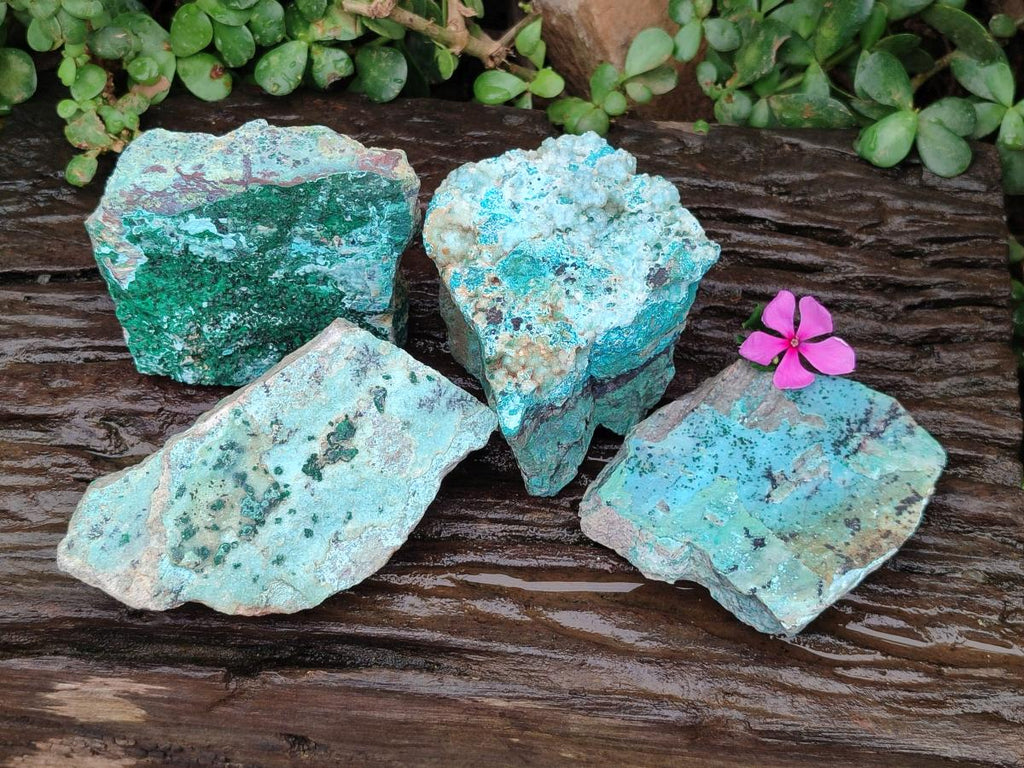 Natural Drusy Coated Chrysocolla with Malachite Specimens x 4 From Lupoto Mine, Congo