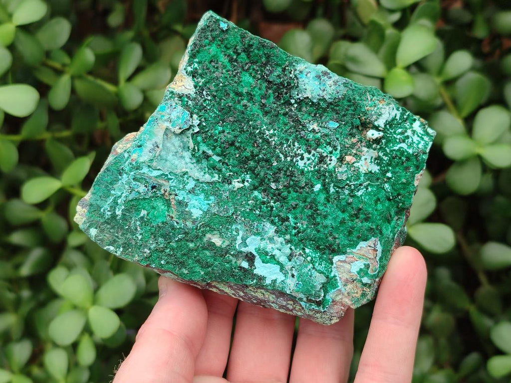 Natural Drusy Coated Chrysocolla with Malachite Specimens x 4 From Lupoto Mine, Congo