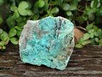 Natural Drusy Coated Chrysocolla with Malachite Specimens x 4 From Lupoto Mine, Congo