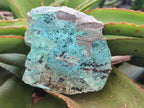 Natural Drusy Coated Chrysocolla with Malachite Specimens x 4 From Lupoto Mine, Congo