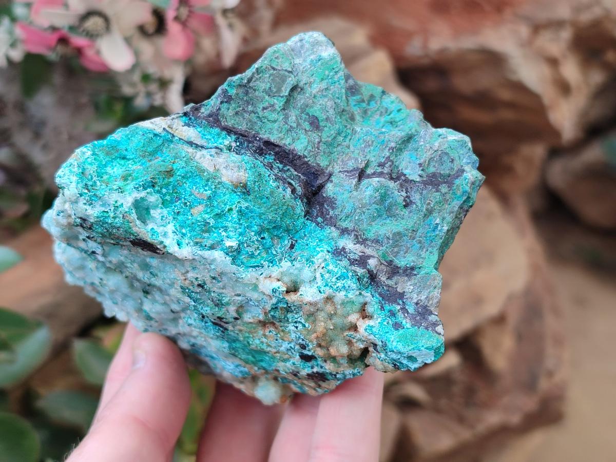 Natural Drusy Coated Chrysocolla with Malachite Specimens x 4 From Lupoto Mine, Congo