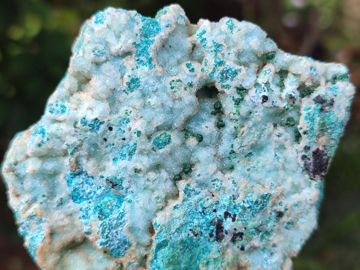 Natural Drusy Coated Chrysocolla with Malachite Specimens x 4 From Lupoto Mine, Congo