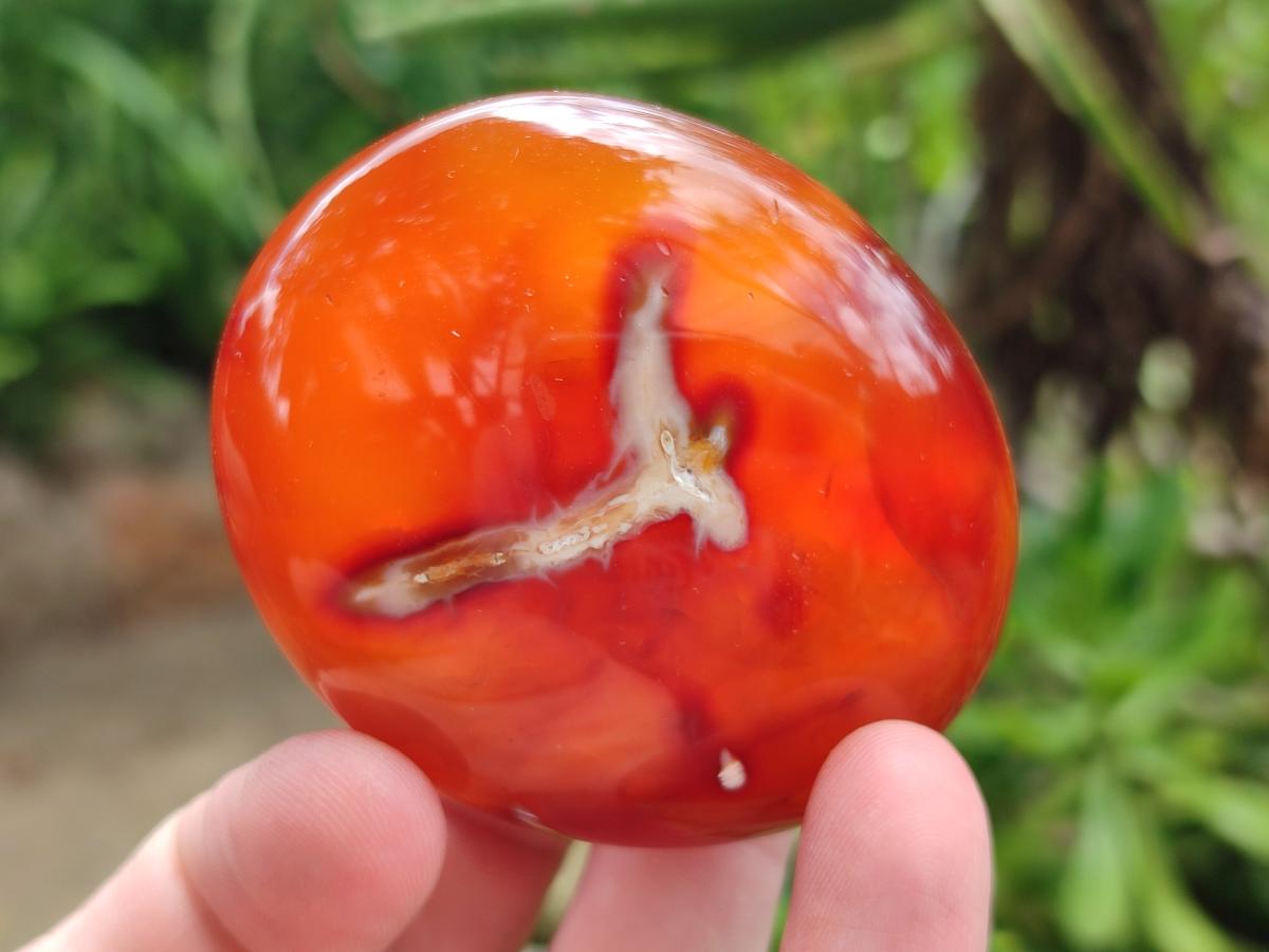 Polished Carnelian Agate Gemstone Galets x 12 From Madagascar