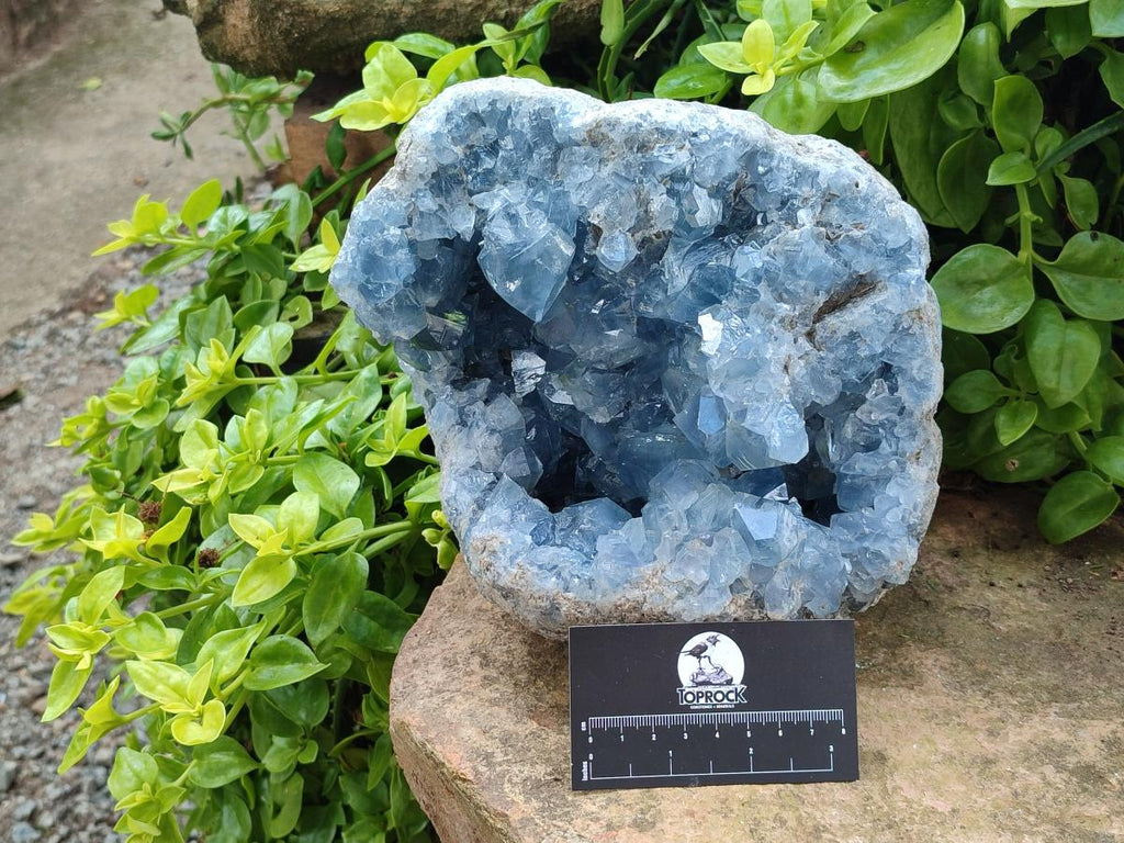 Natural Large Blue Celestite Geode Specimen x 1 From Sakoany, Madagascar
