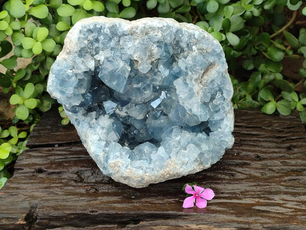 Natural Large Blue Celestite Geode Specimen x 1 From Sakoany, Madagascar
