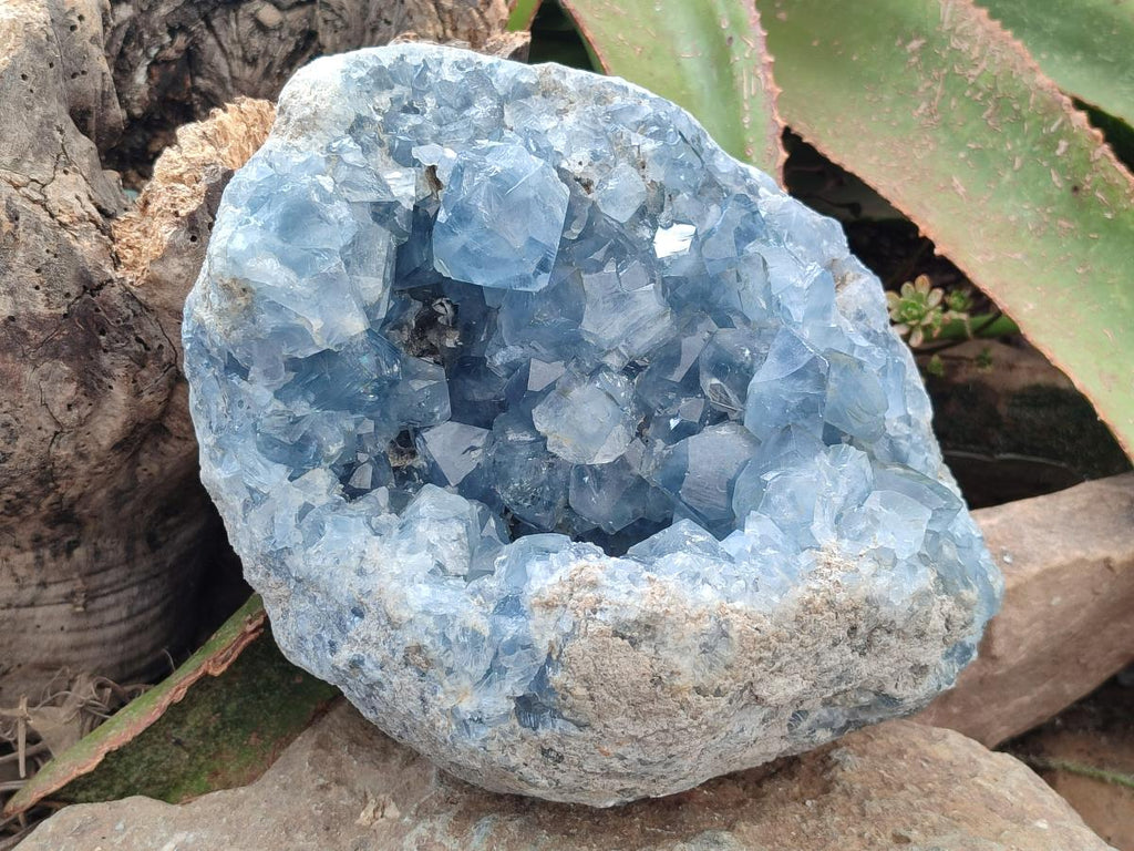 Natural Large Blue Celestite Geode Specimen x 1 From Sakoany, Madagascar