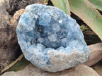 Natural Large Blue Celestite Geode Specimen x 1 From Sakoany, Madagascar