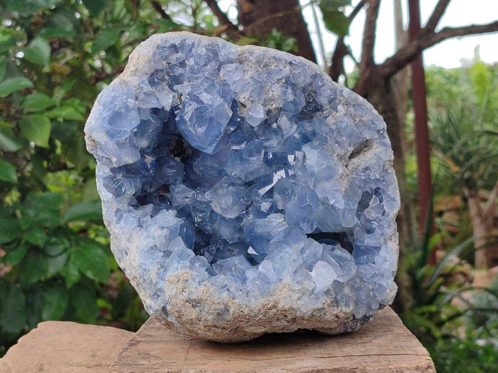 Natural Large Blue Celestite Geode Specimen x 1 From Sakoany, Madagascar