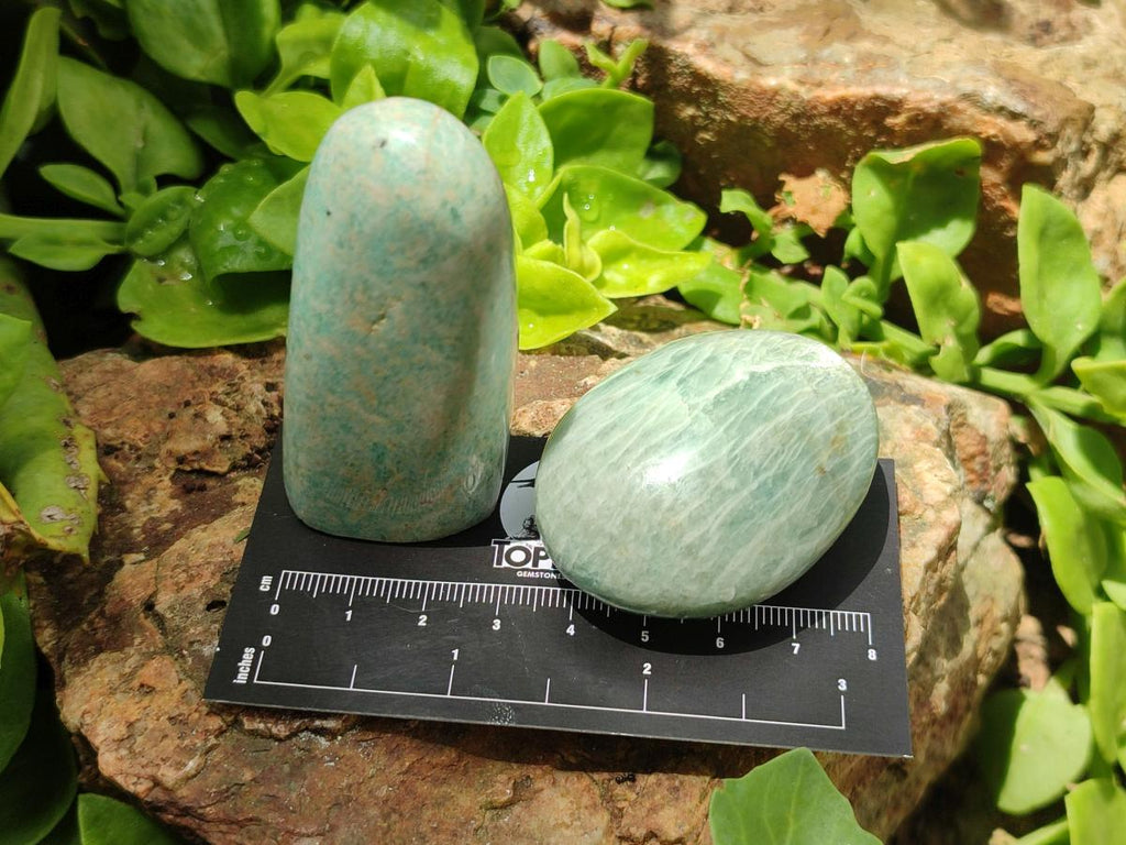 Polished Amazonite Free Forms x 24 From Madagascar