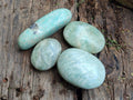 Polished Amazonite Free Forms x 24 From Madagascar