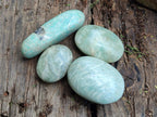 Polished Amazonite Free Forms x 24 From Madagascar