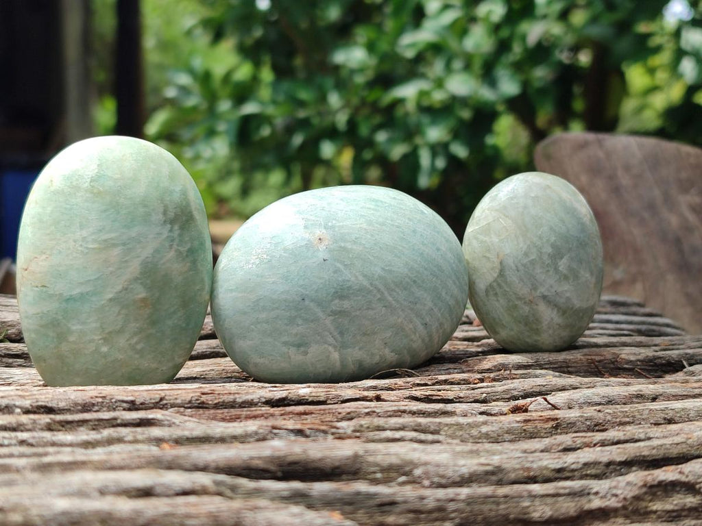 Polished Amazonite Free Forms x 24 From Madagascar