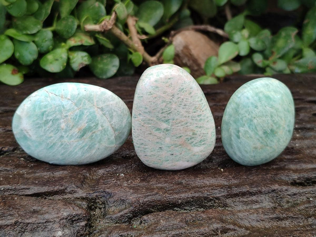 Polished Amazonite Free Forms x 24 From Madagascar