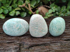 Polished Amazonite Free Forms x 24 From Madagascar