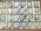 Polished Amazonite Free Forms x 24 From Madagascar