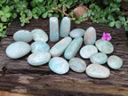 Polished Amazonite Free Forms x 24 From Madagascar