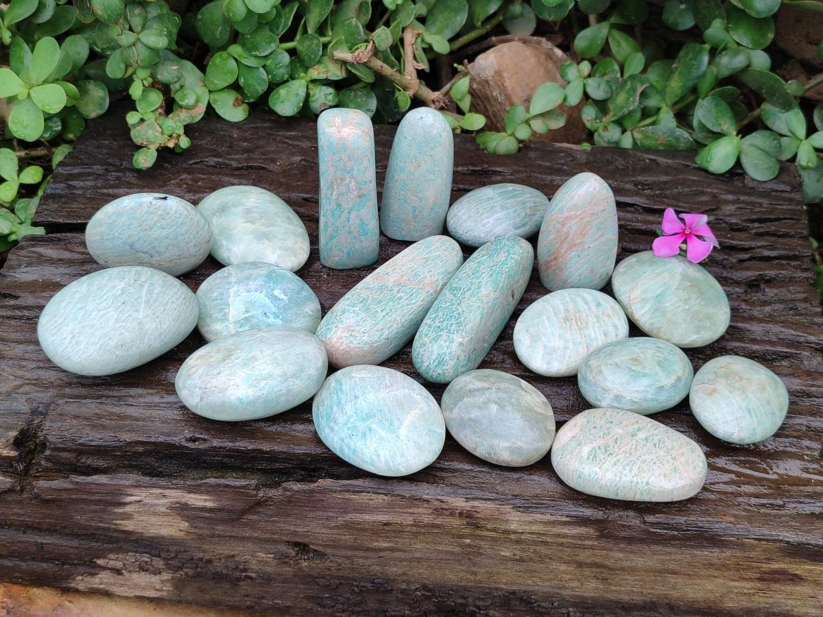 Polished Amazonite Free Forms x 24 From Madagascar