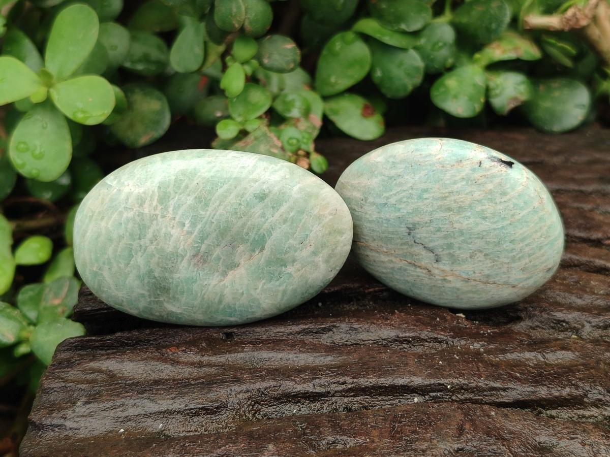 Polished Amazonite Free Forms x 24 From Madagascar