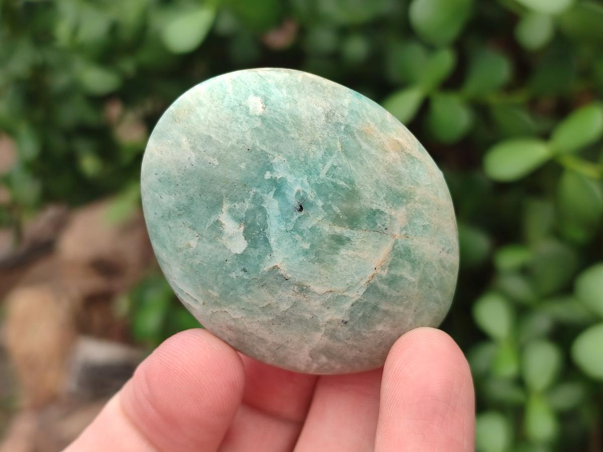 Polished Amazonite Free Forms x 24 From Madagascar