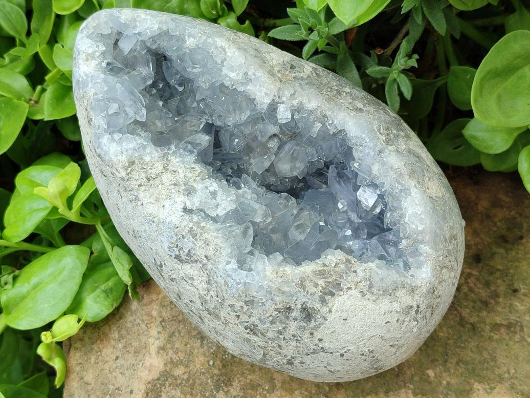 Polished Large Blue Celestite Egg x 1 From Sakoany, Madagascar