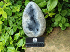 Polished Large Blue Celestite Egg x 1 From Sakoany, Madagascar