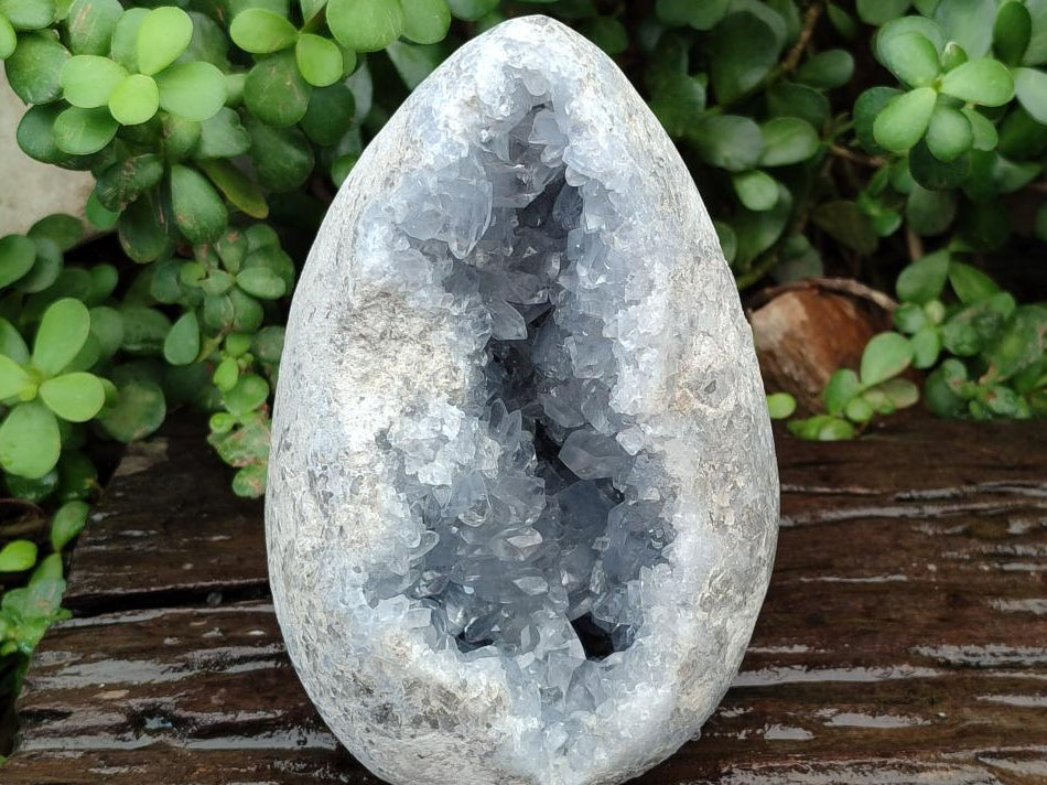 Polished Large Blue Celestite Egg x 1 From Sakoany, Madagascar