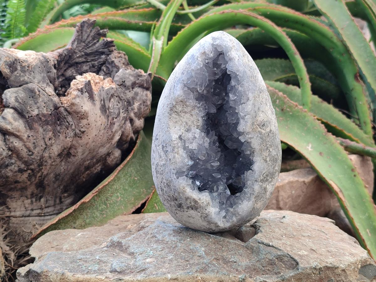 Polished Large Blue Celestite Egg x 1 From Sakoany, Madagascar