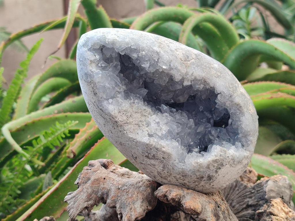 Polished Large Blue Celestite Egg x 1 From Sakoany, Madagascar