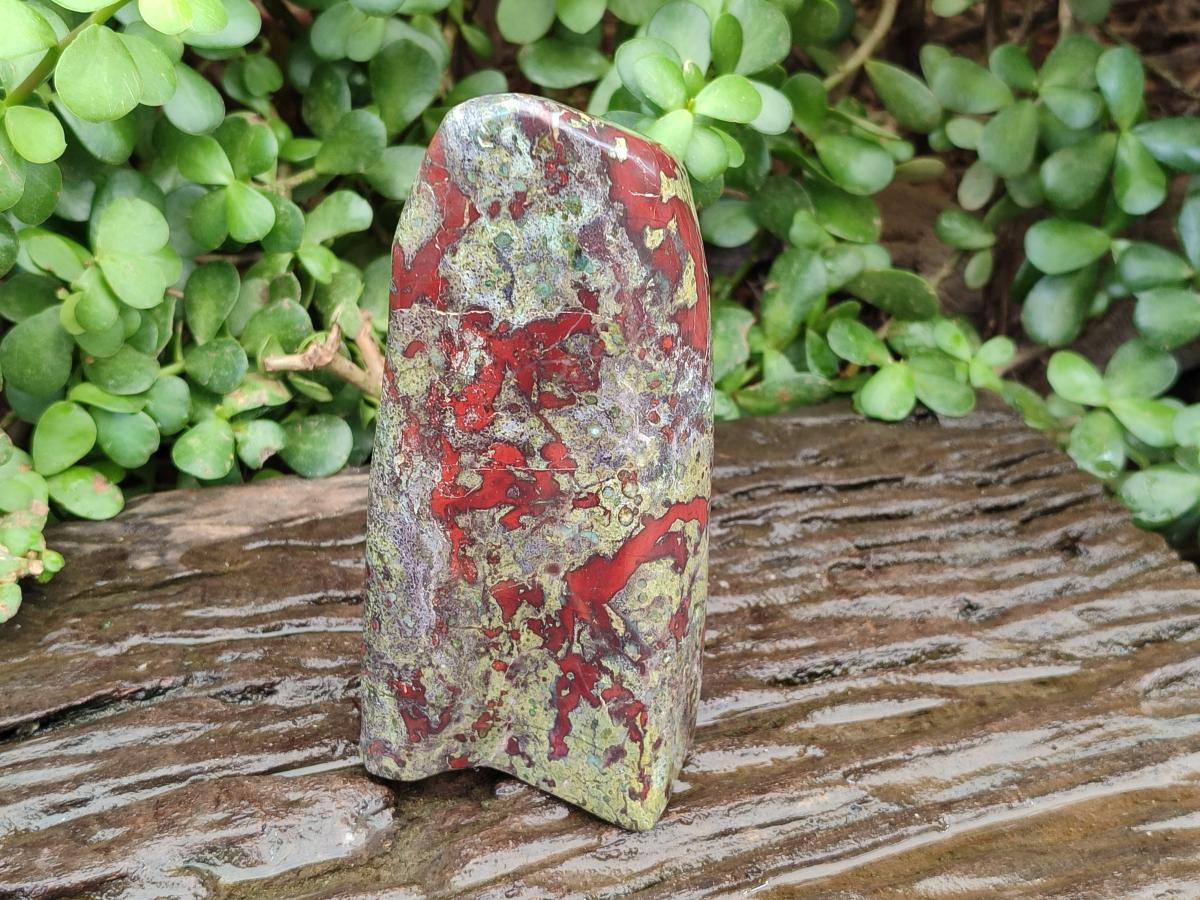 Polished Bloodstone Standing Free Form x 1 From Swaziland