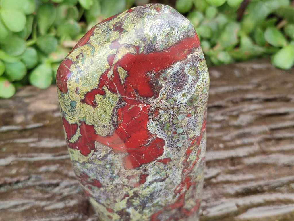 Polished Bloodstone Standing Free Form x 1 From Swaziland