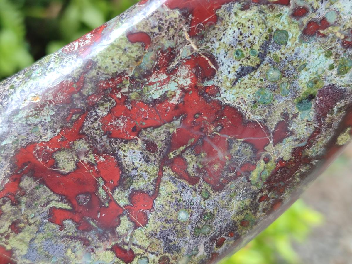 Polished Bloodstone Standing Free Form x 1 From Swaziland