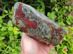 Polished Bloodstone Standing Free Form x 1 From Swaziland