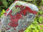 Polished Bloodstone Standing Free Form x 1 From Swaziland