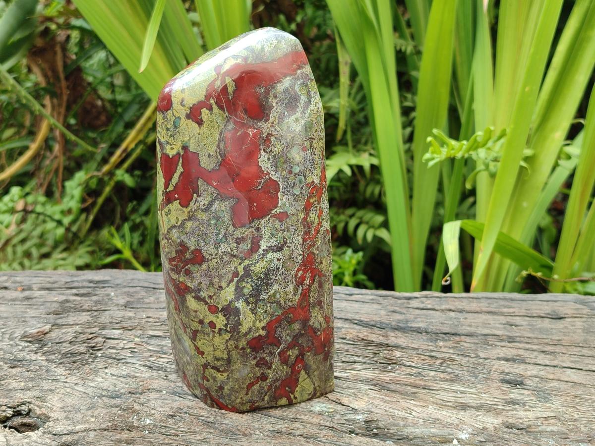 Polished Bloodstone Standing Free Form x 1 From Swaziland