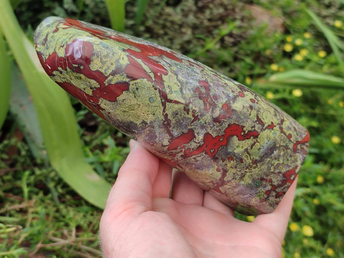 Polished Bloodstone Standing Free Form x 1 From Swaziland
