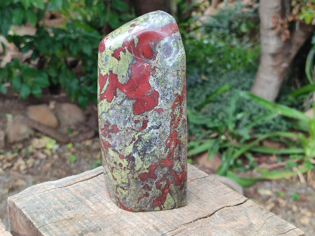 Polished Bloodstone Standing Free Form x 1 From Swaziland