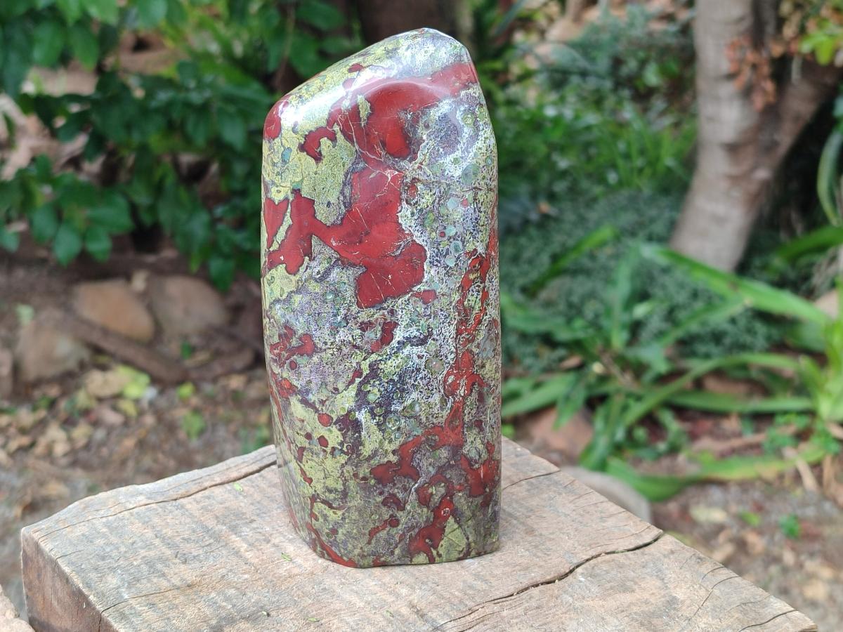 Polished Bloodstone Standing Free Form x 1 From Swaziland