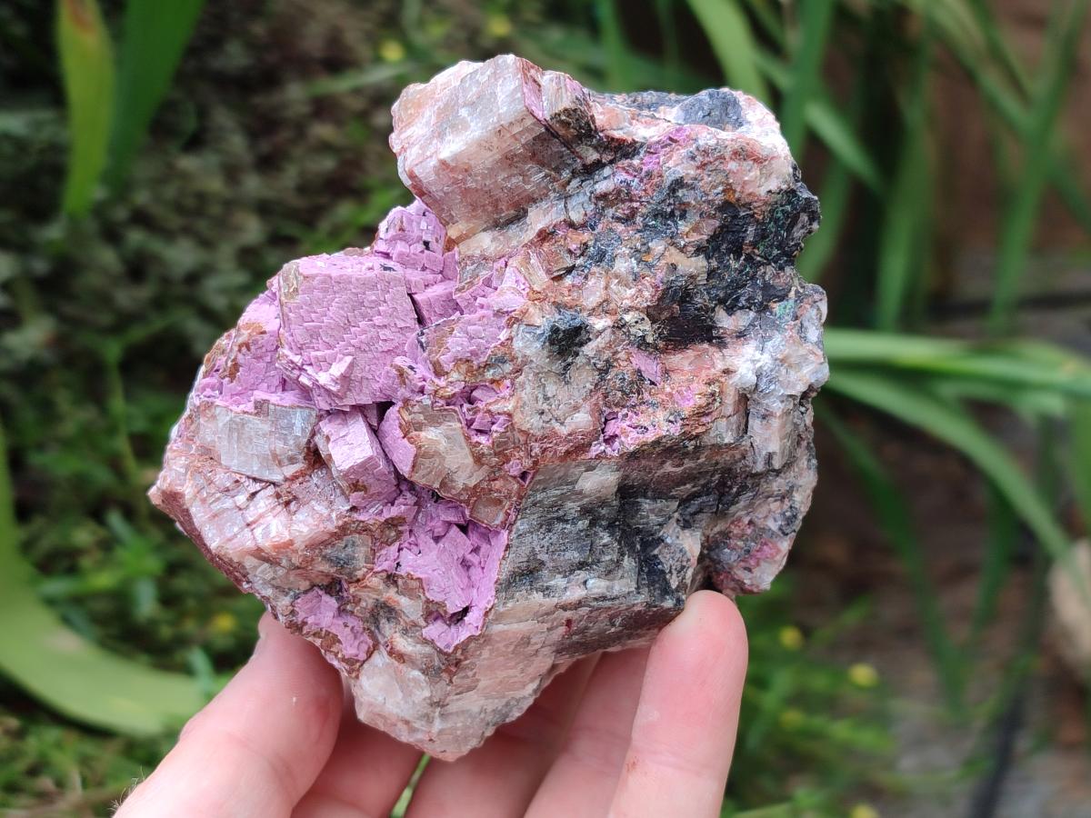 Natural Salrose Cobaltion Dolomite Specimens x 3 From Kakanda, Congo