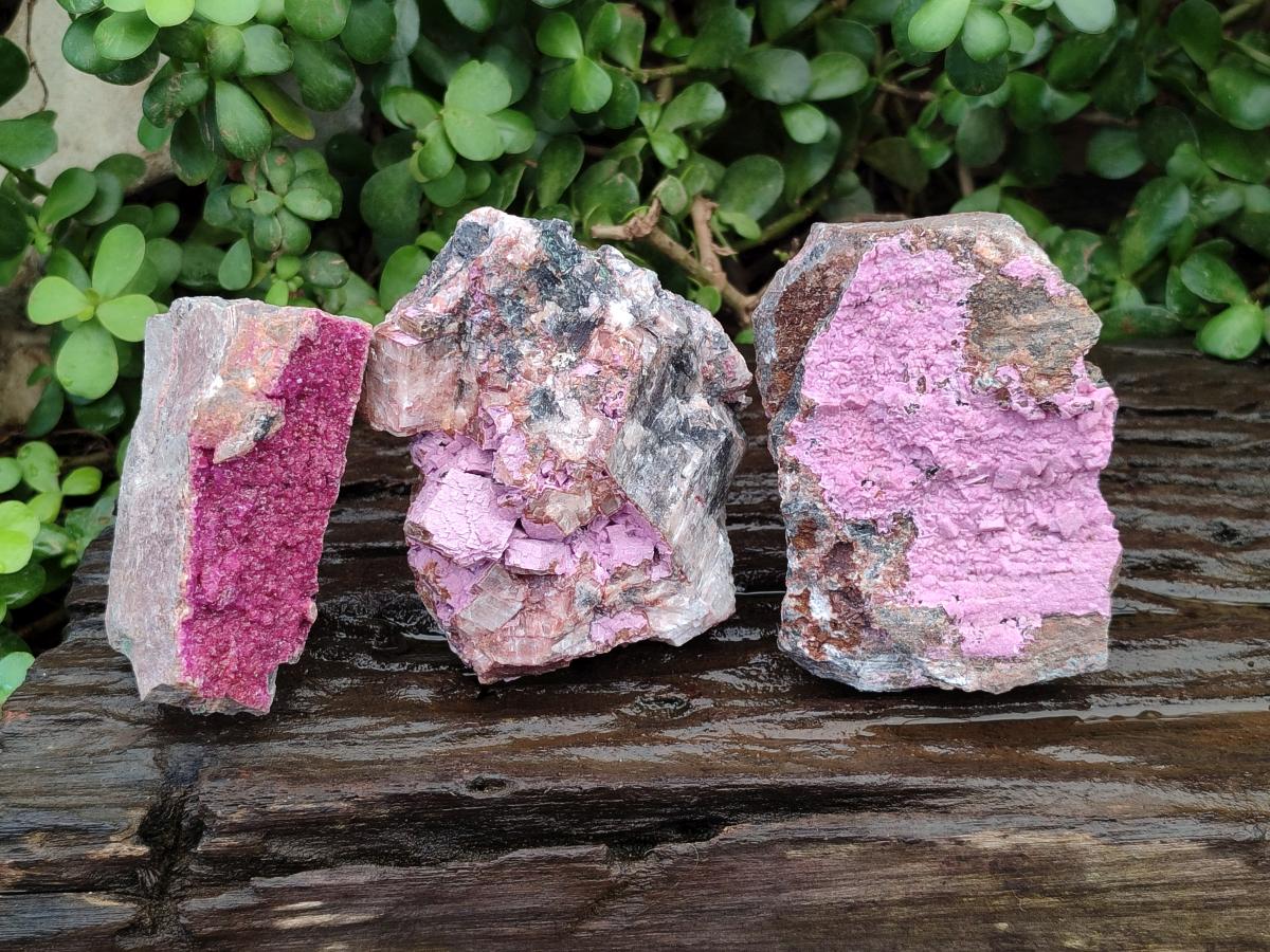 Natural Salrose Cobaltion Dolomite Specimens x 3 From Kakanda, Congo