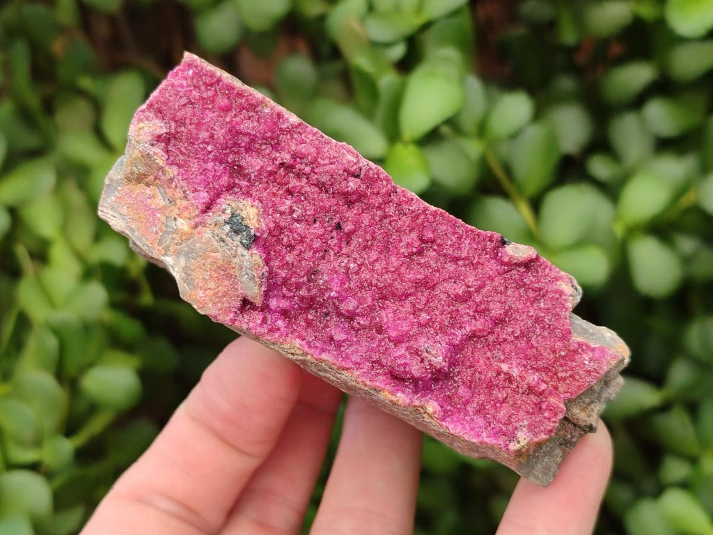 Natural Salrose Cobaltion Dolomite Specimens x 3 From Kakanda, Congo